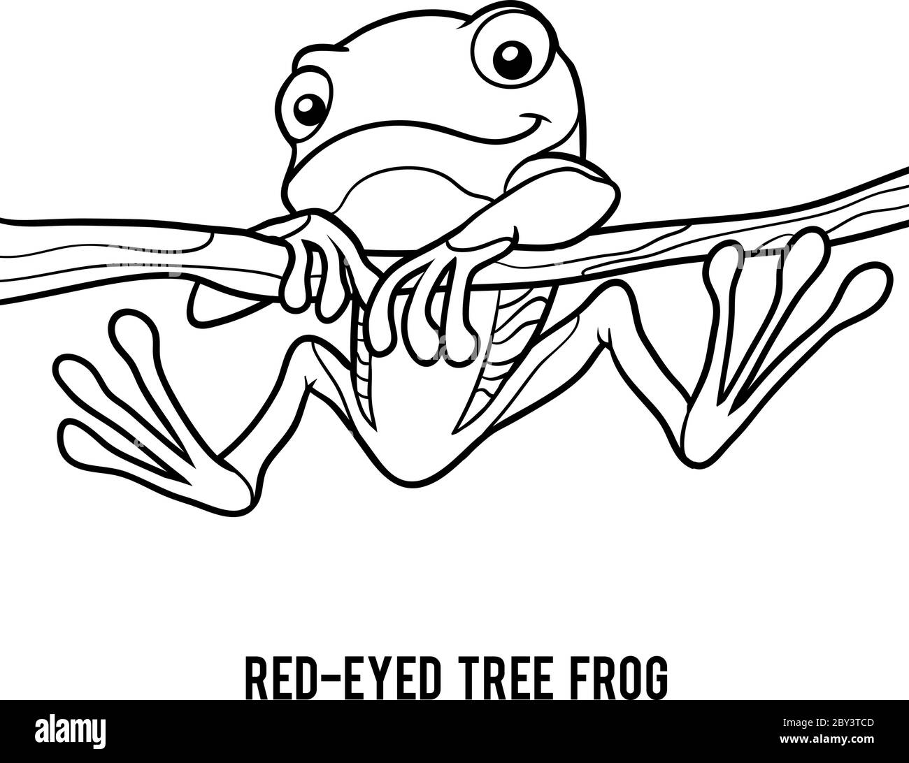 Tree frog black and white stock photos images