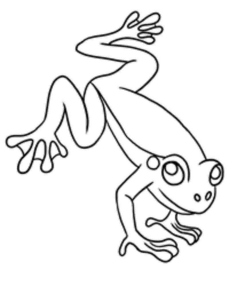 Tree frog coloring pages