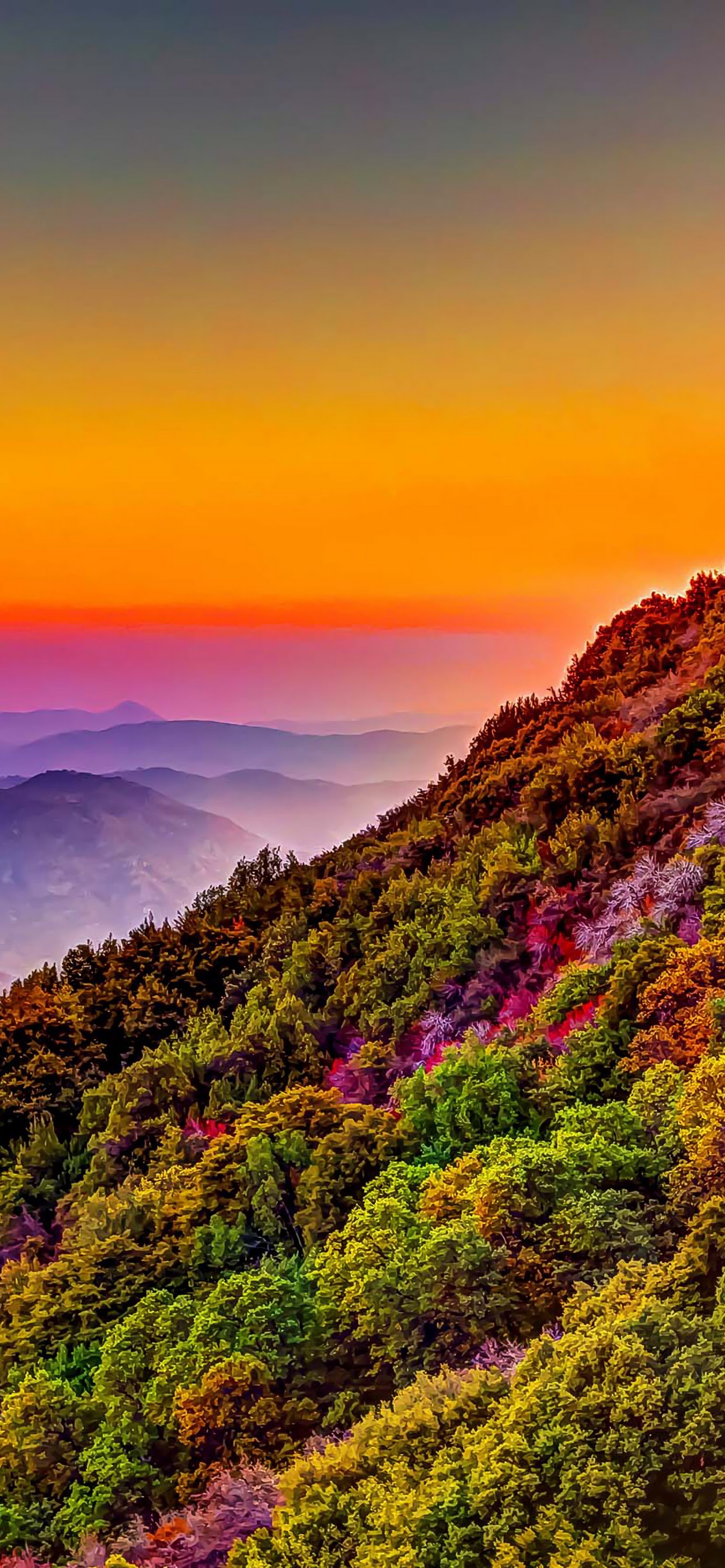 Mountain colorful forest nature sunset scenery k wallpaper