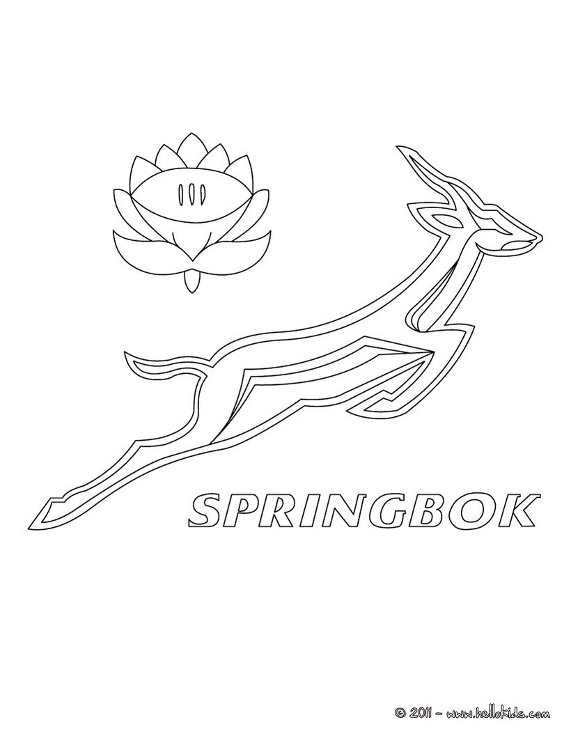 South africa spring box team coloring pages