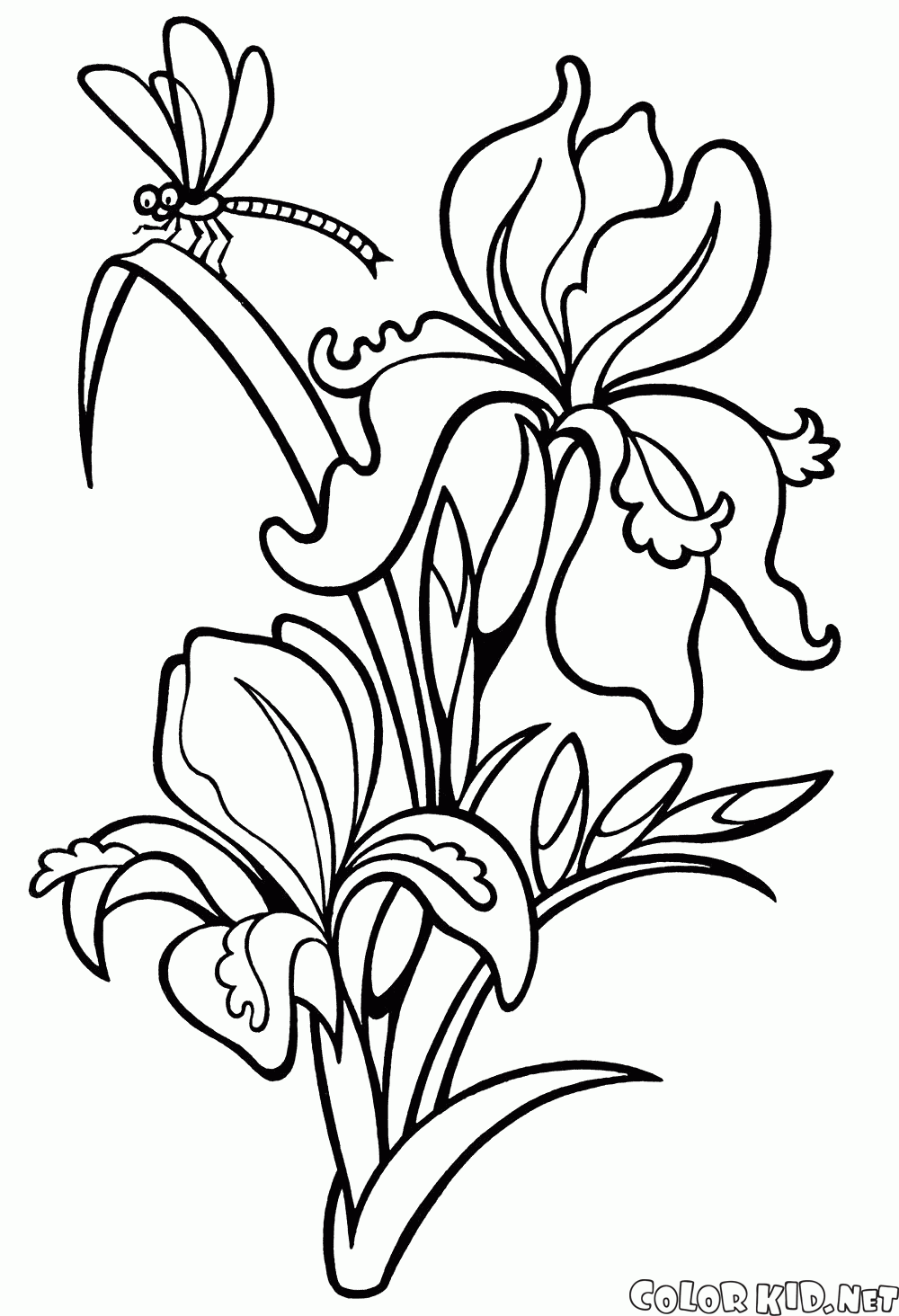 Coloring page