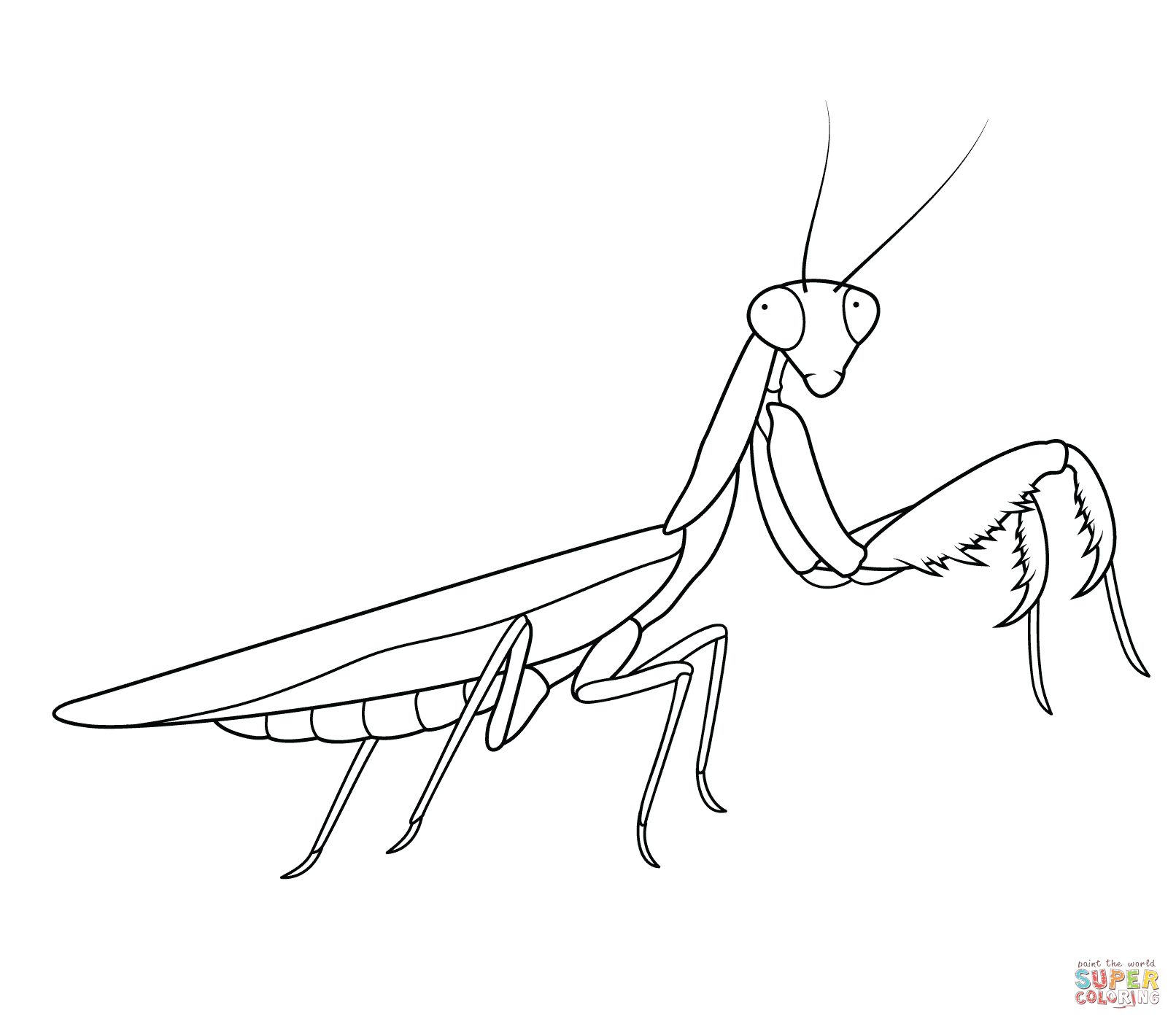 Praying mantis coloring page free printable coloring pages