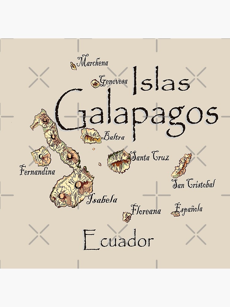 Map of the galapagos islands framed art print for sale by leeloolook