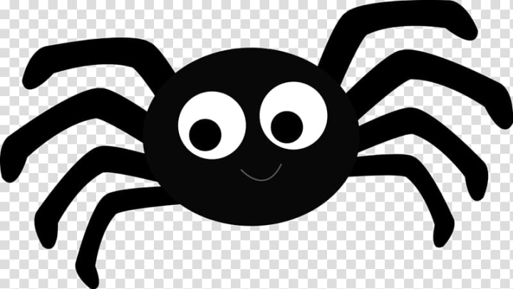 Free itsy bitsy spider spider transparent background png clipart