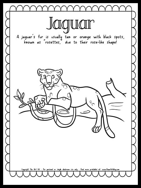 Jaguar coloring page with fun fact free printable download â the art kit