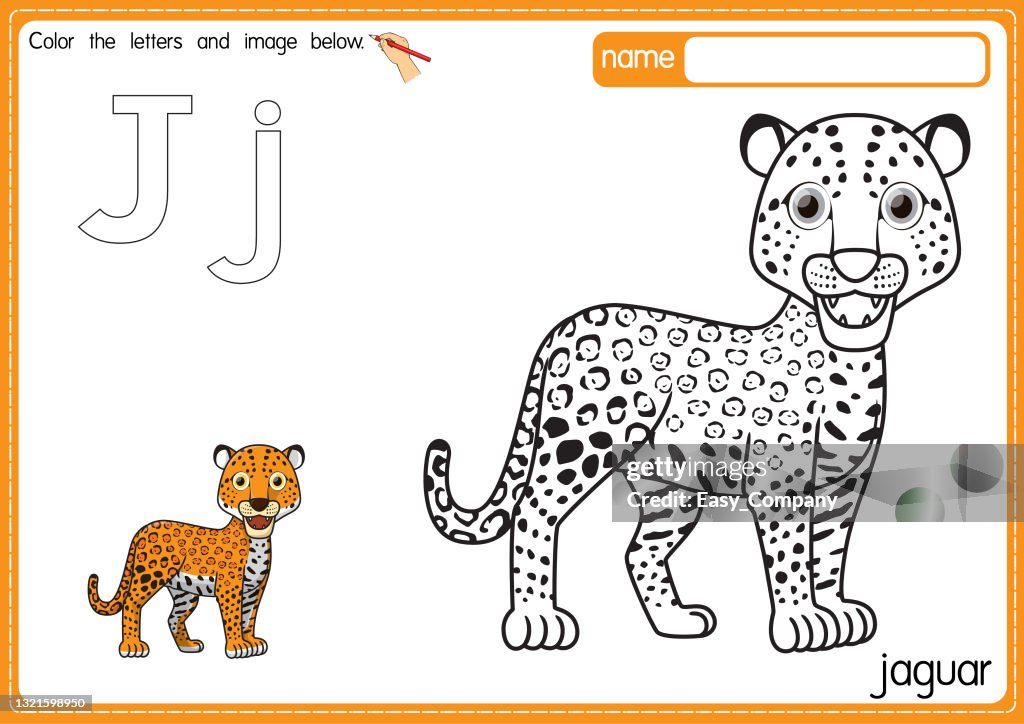 Vector illustration of kids alphabet coloring book page with outlined clip art to color letter j for jaguar high