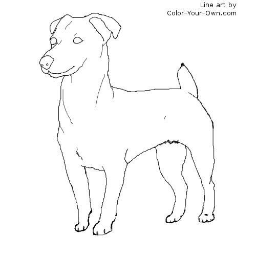 Standing jack russell terrier dog coloring page dog coloring page jack russell terrier jack russell