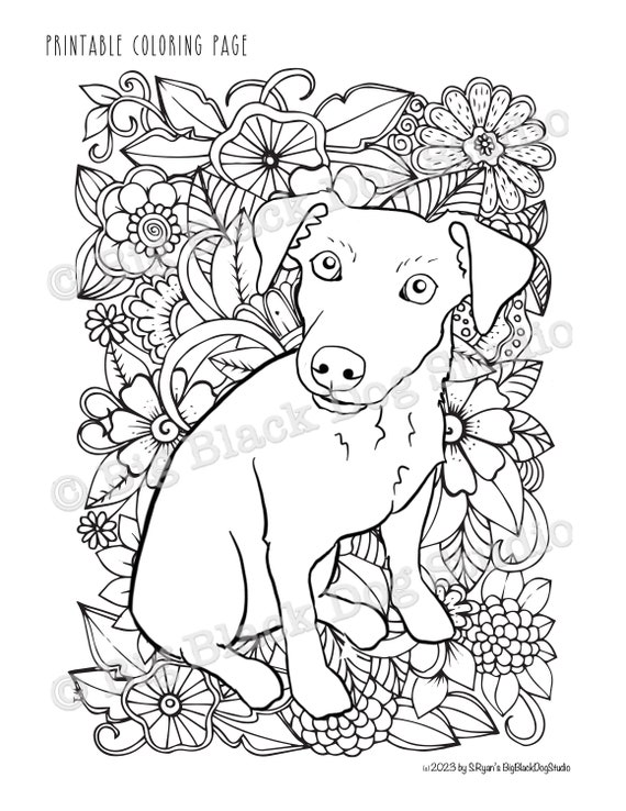 Jack russell terrier coloring page digital download parson russell