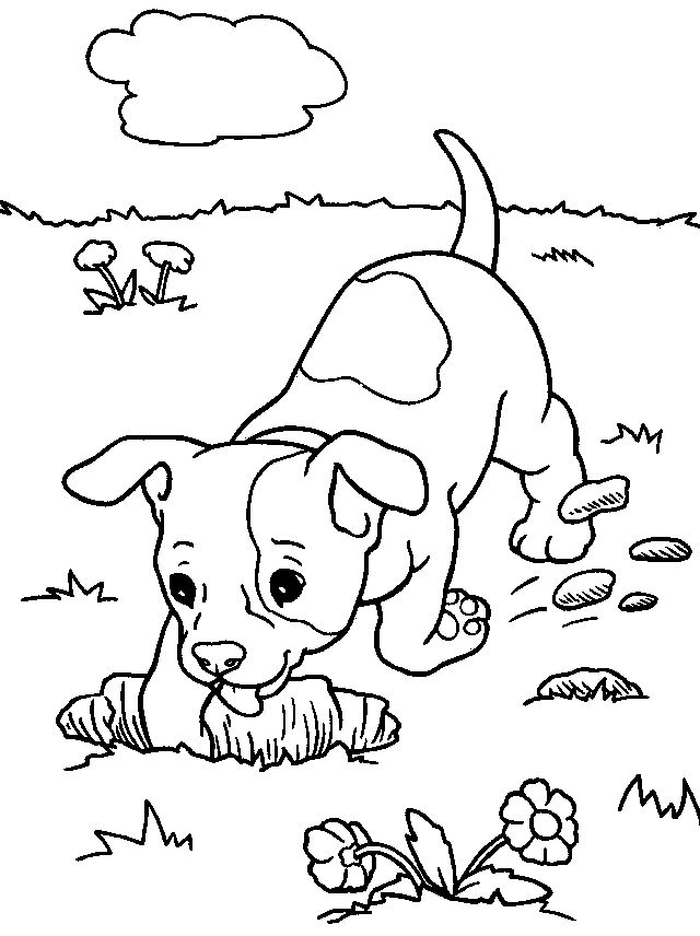 Jack russell coloring pages