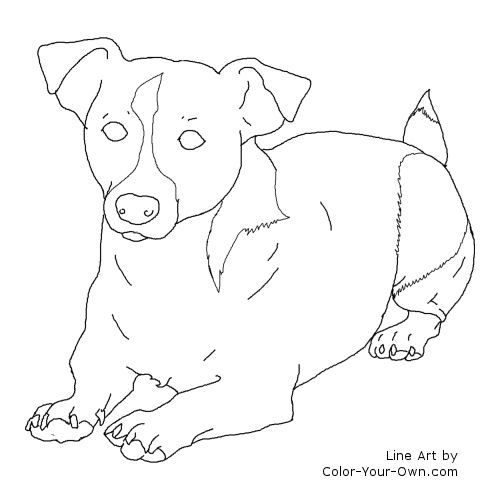Jack russel terrier dog laying down coloring page dog coloring page animal coloring pages dog face drawing