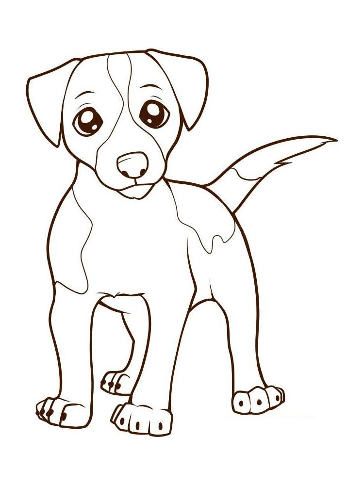 Jack russell terrier coloring pages animal coloring pages jack russell terrier jack russell