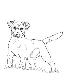 Jack russell terrier coloring page super coloring dog coloring page horse coloring pages animal coloring pages