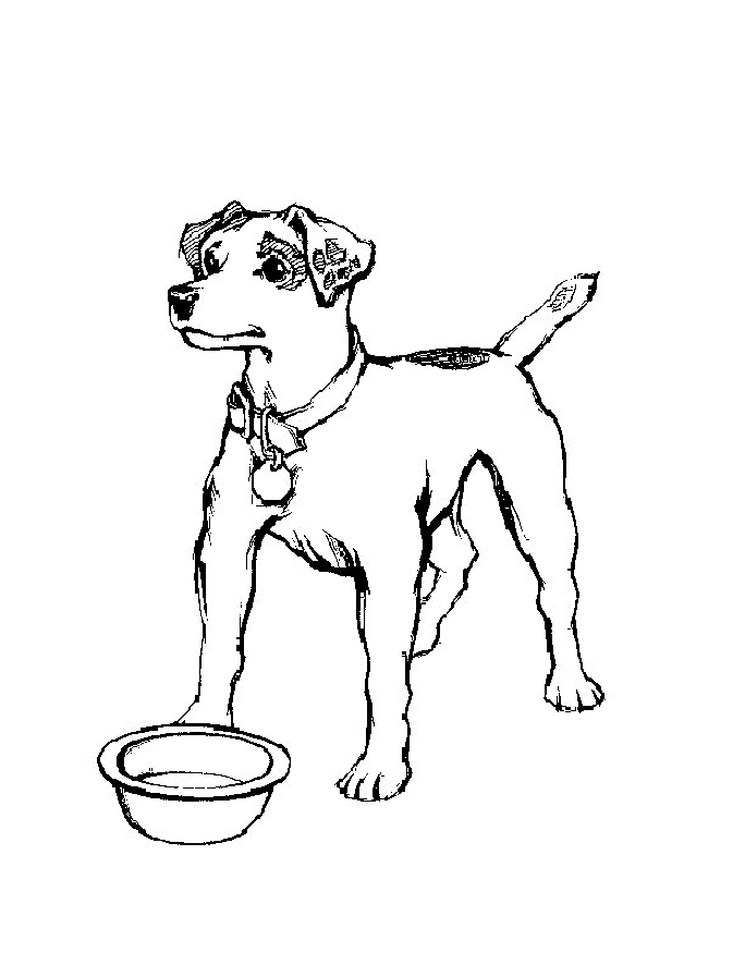 Jack russell coloring pages