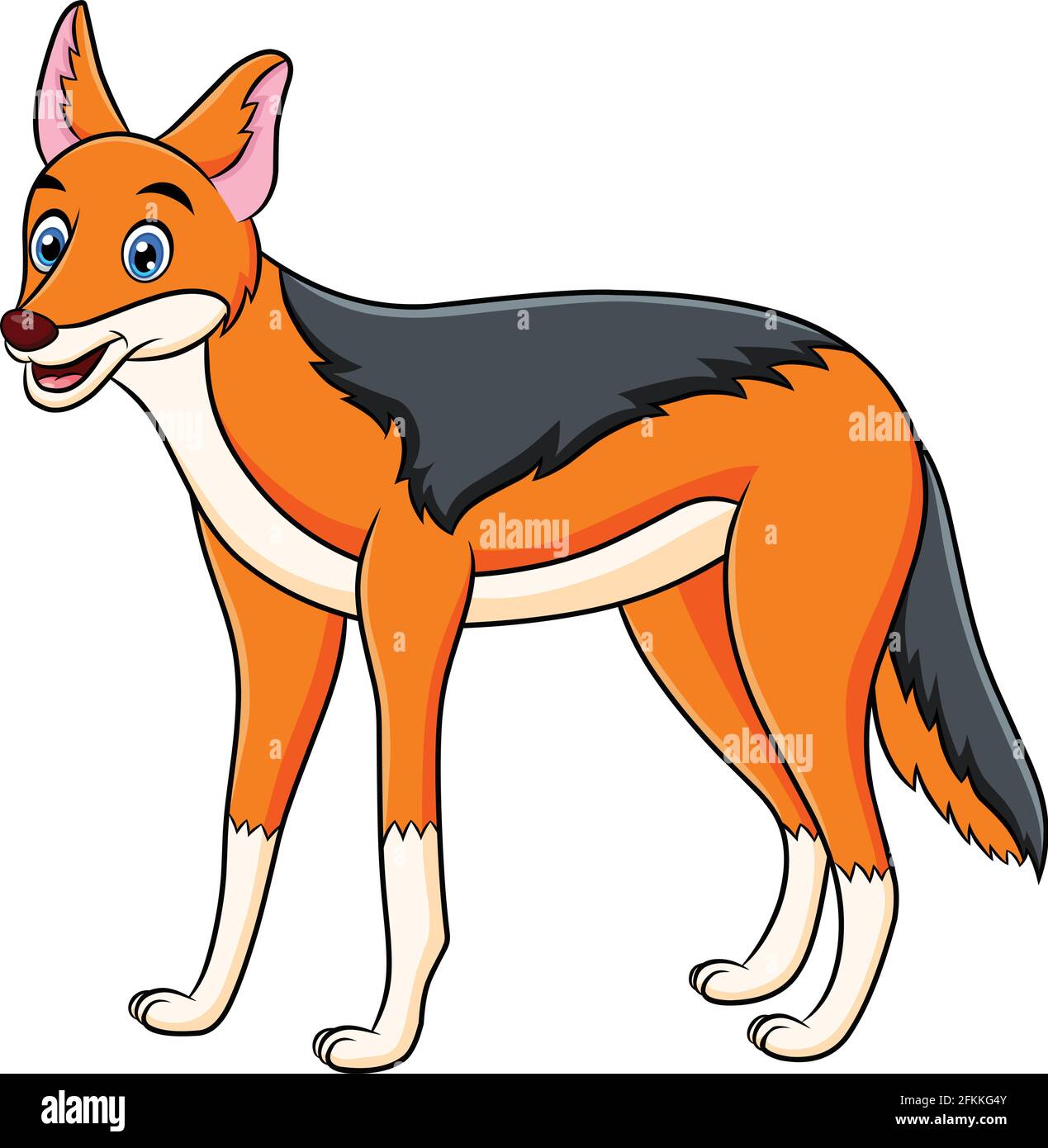 Jackal animal cartoon illustration hi