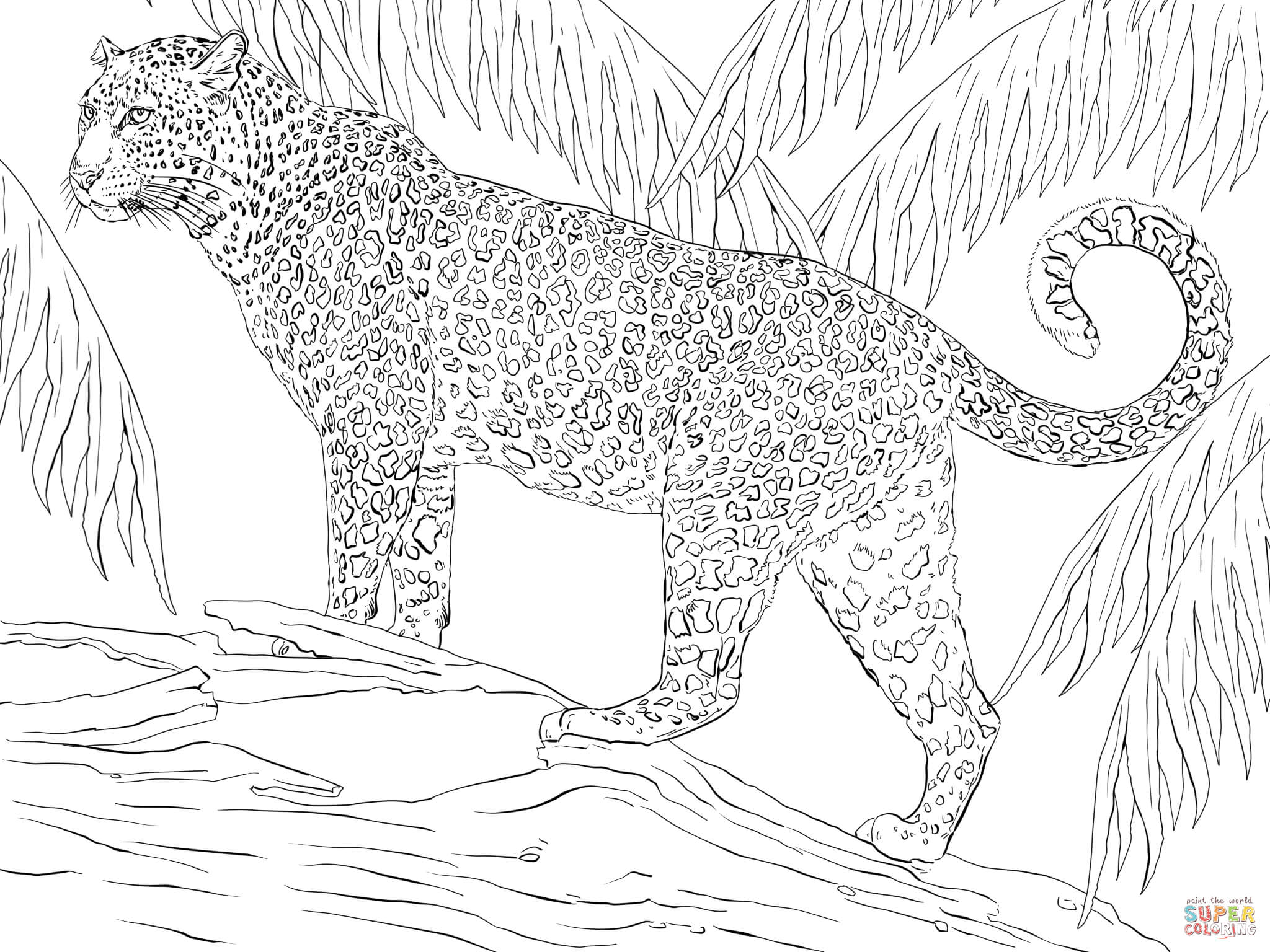 Jaguar coloring page free printable coloring pages