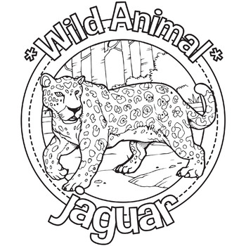 Jaguar wild animal coloring page book by scworkspace tpt