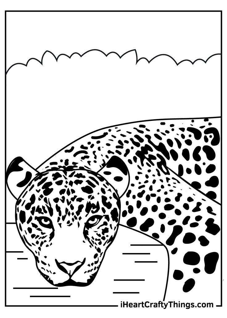 Jaguar coloring pages coloring pages color incredible creatures