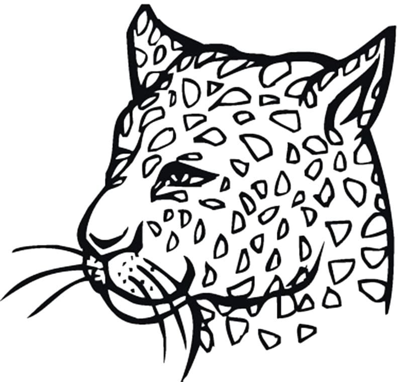 Leopard coloring pages printable for free download