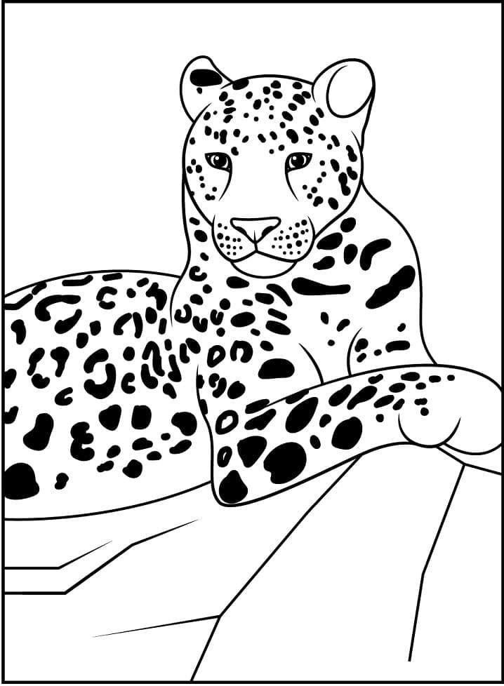 Leopard coloring pages printable for free download