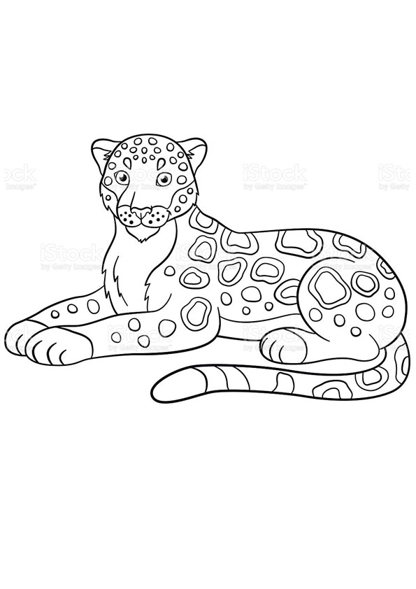 Coloring pages printable jaguar coloring sheet for kids