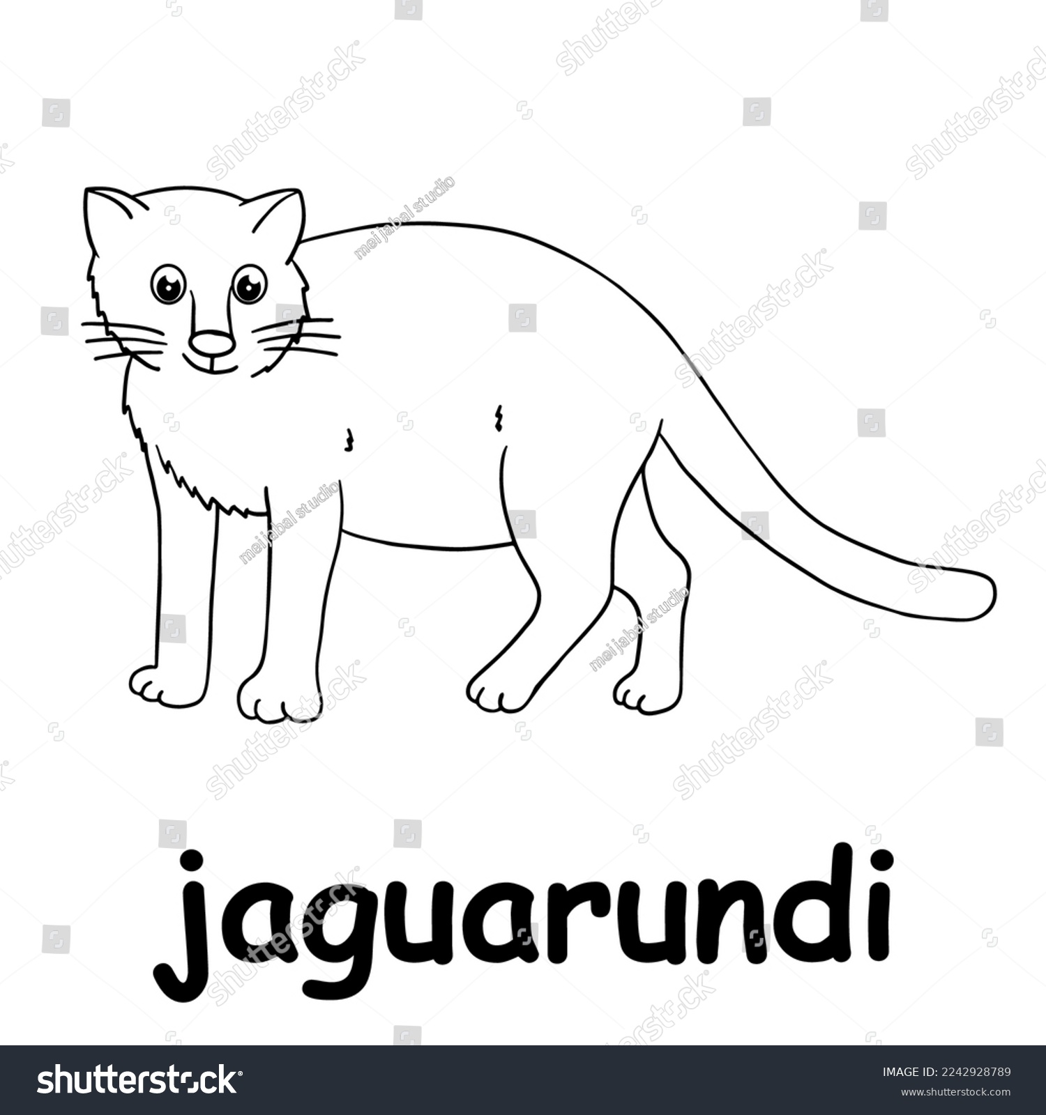 Kids line illustration coloring jaguarundi outline stock vector royalty free