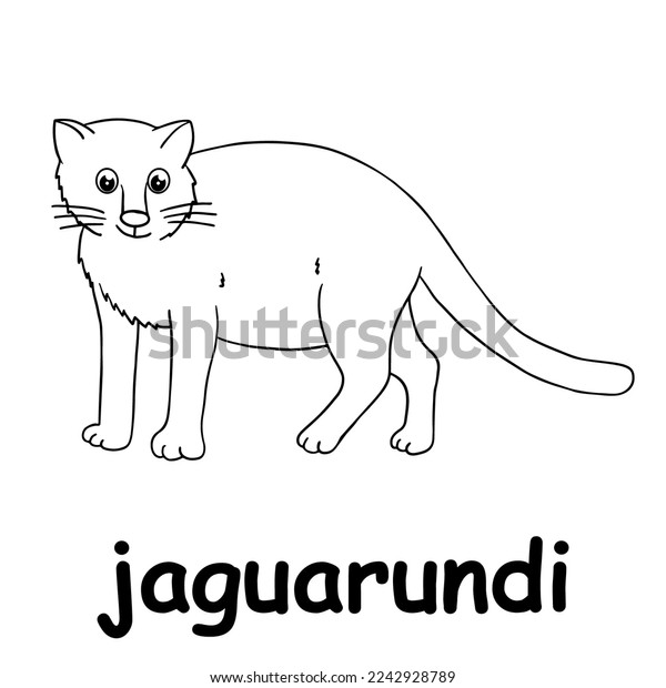 Kids line illustration coloring jaguarundi outline stock vector royalty free