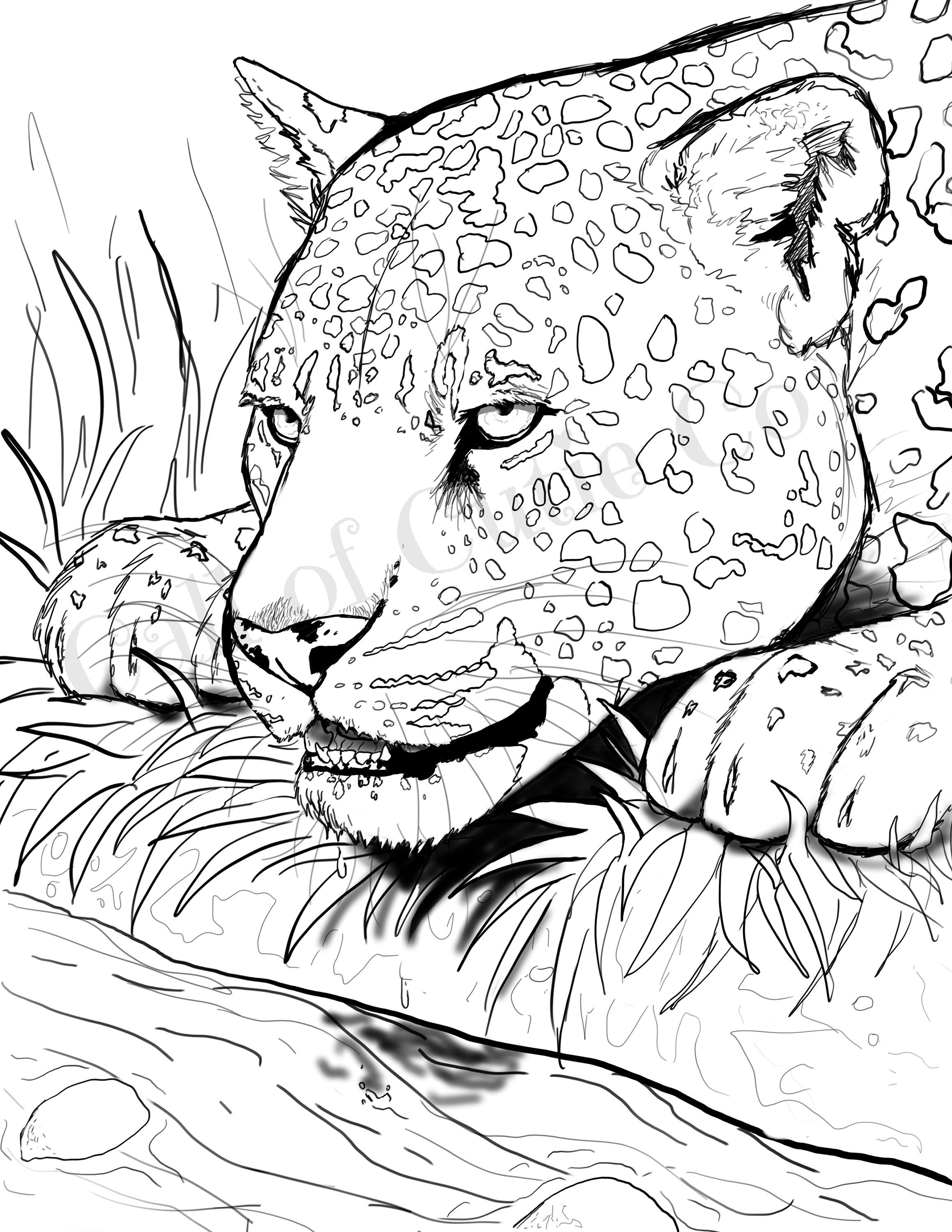 Jaguar coloring page animal coloring page