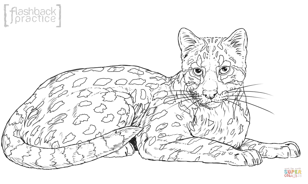 Oncilla coloring page free printable coloring pages