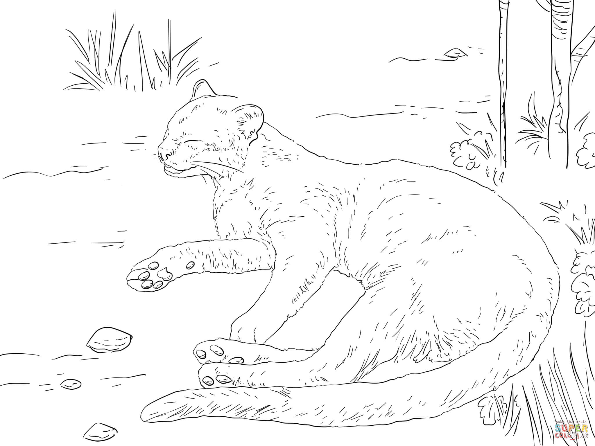 Jaguarundi resting on a ground coloring page free printable coloring pages