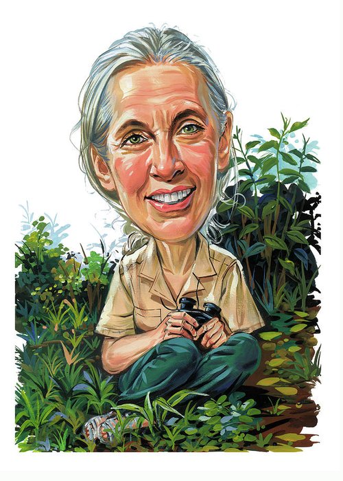 Jane goodall greeting card by art