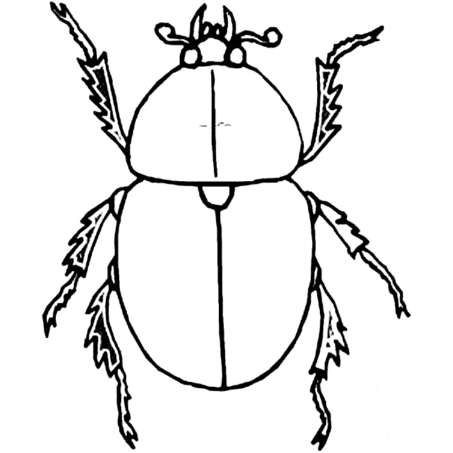 Dung beetle coloring page