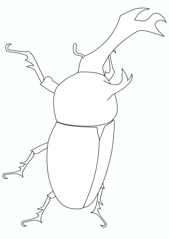 Beetle coloring pages free printable nurie