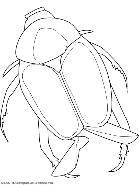 Japanese beetle coloring page audio stories for kids free coloring pages colouring printables