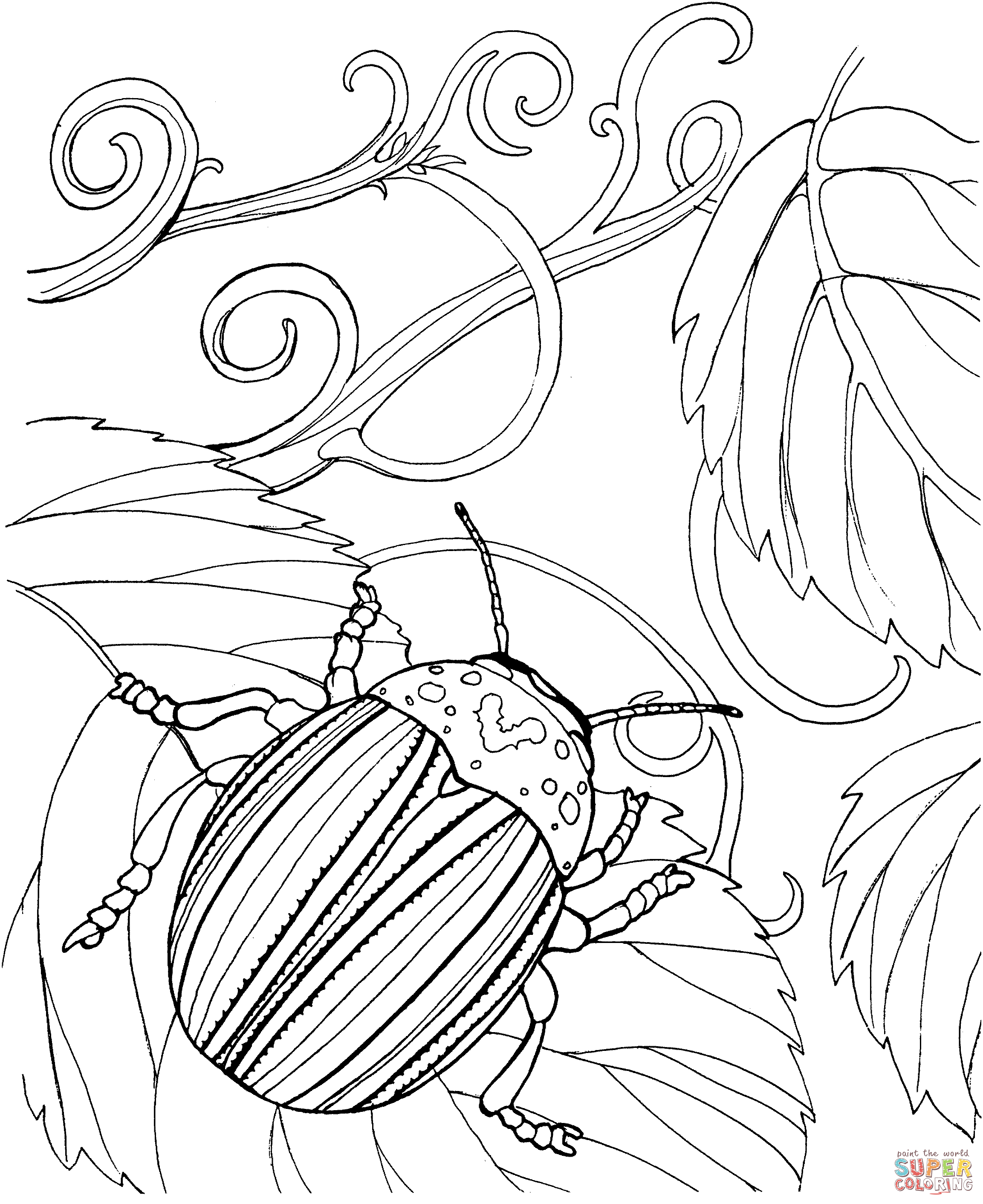 Japanese beetle coloring page free printable coloring pages