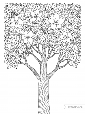 Cherry blossom coloring page