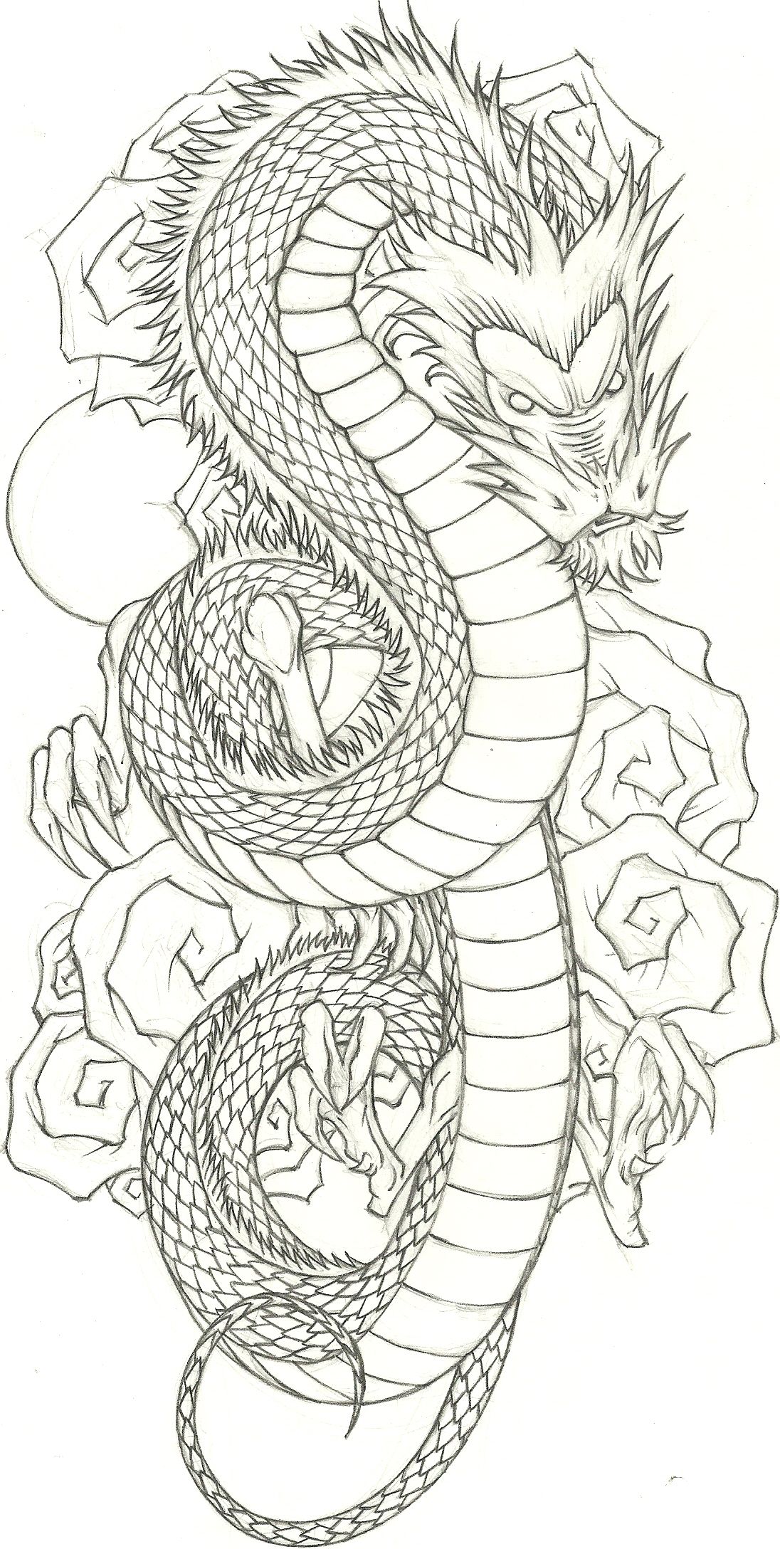 Dragon illustration fairy coloring pages dragon pictures