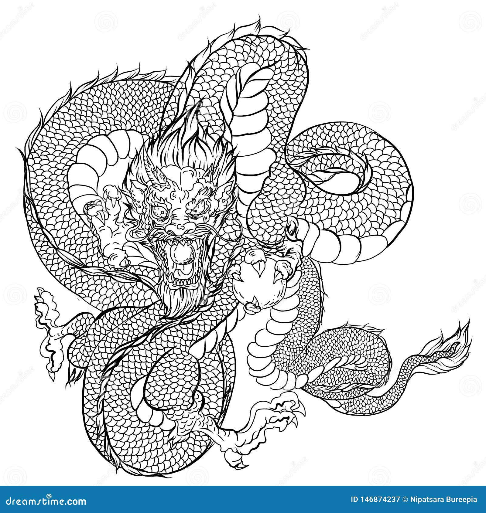 Hand drawn silhouette dragonchinese dragon tattooblack and white traditional japanese dragondragon coloring book stock vector