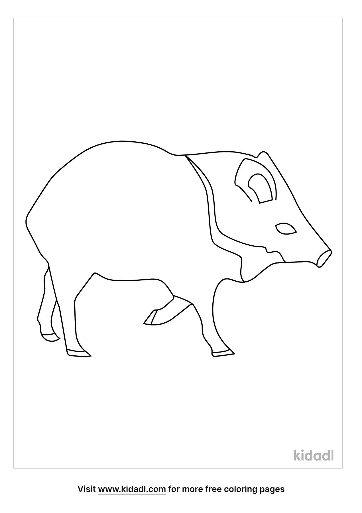 Free javelina coloring page coloring page printables