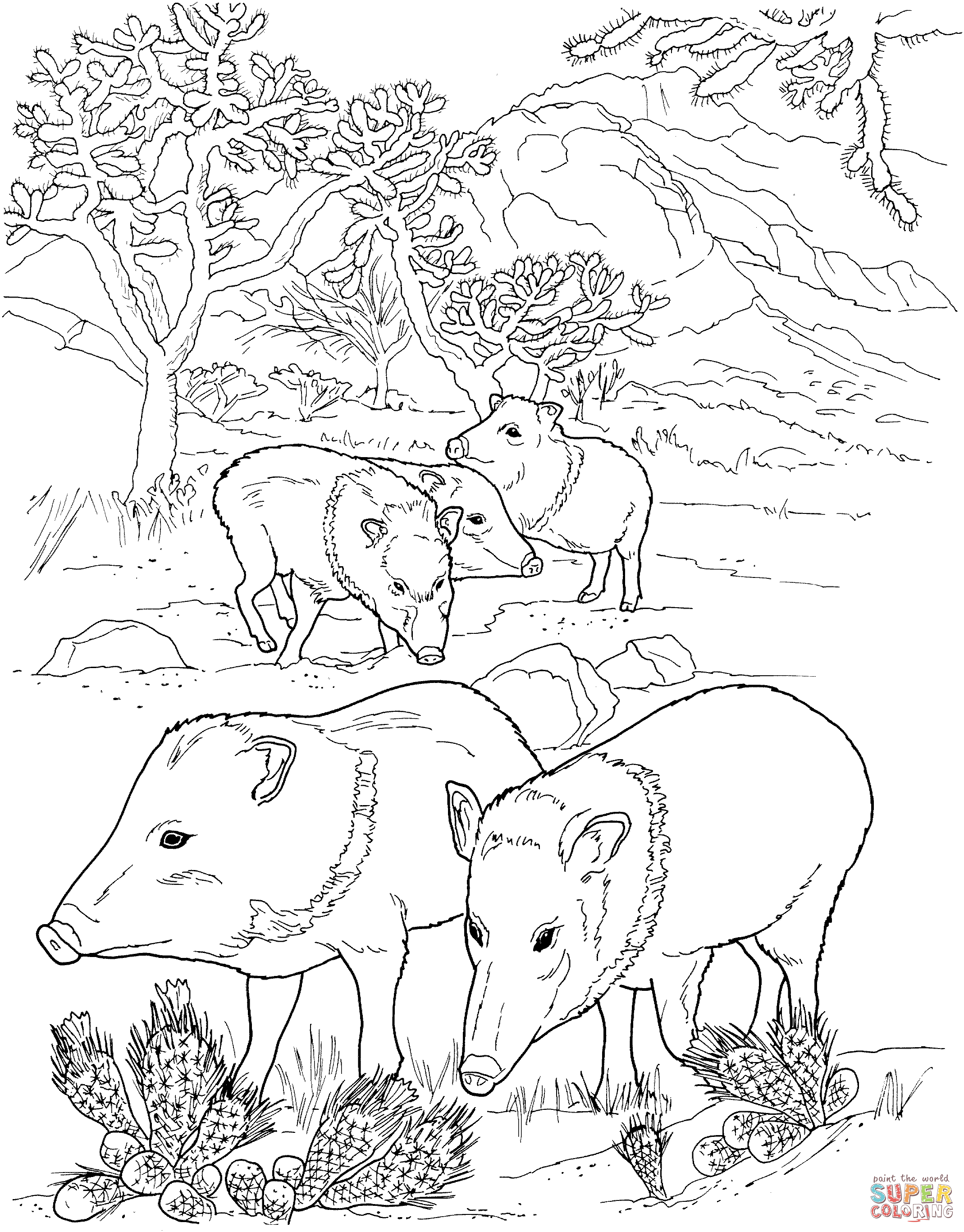Javelina peccaries wild pigs coloring page free printable coloring pages