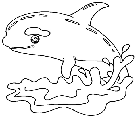 Little killer whale coloring page free printable coloring pages