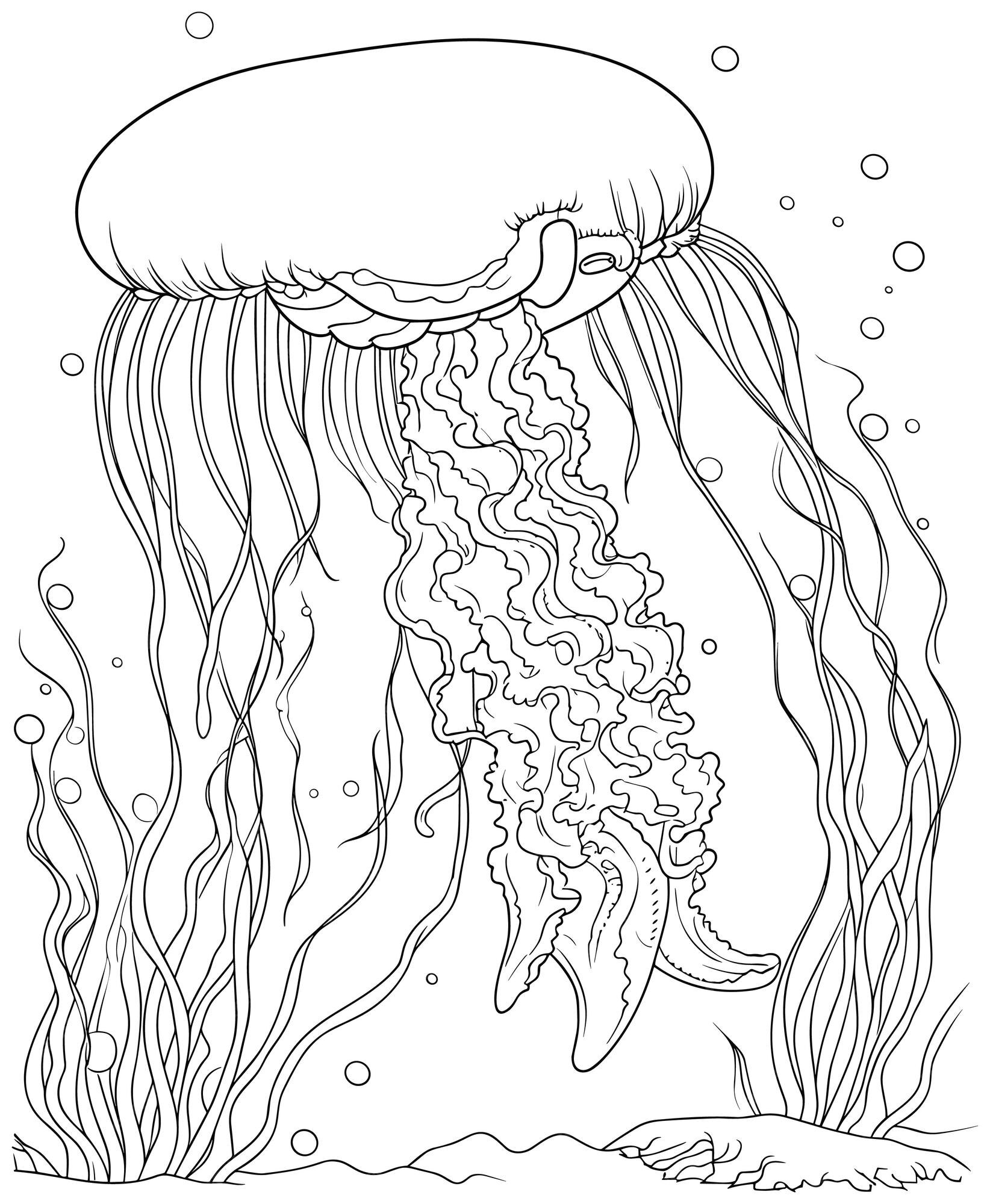 Premium vector easy jellyfish coloring page