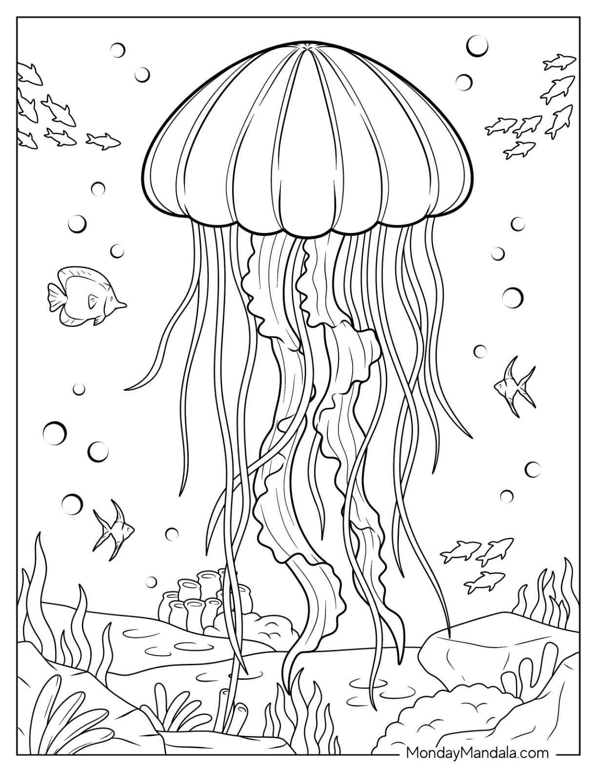 Jellyfish coloring pages free pdf printables