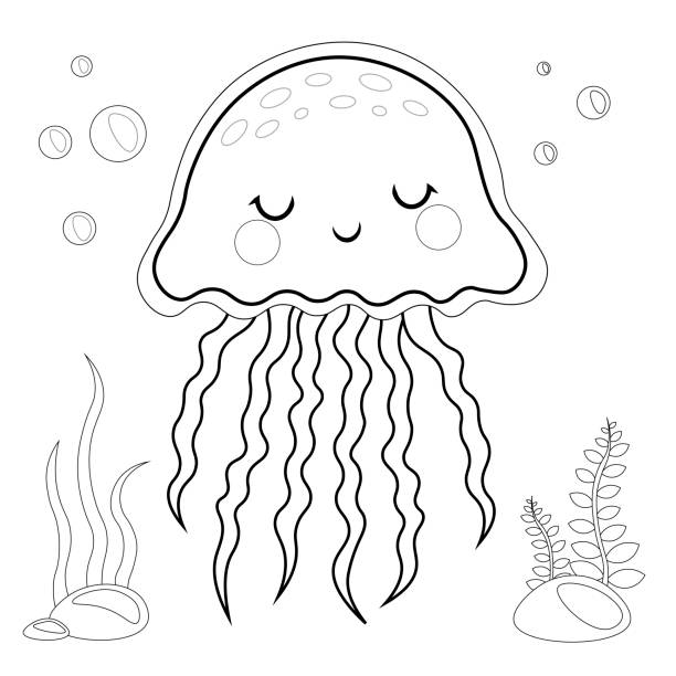 Jellyfish coloring pages pictures stock illustrations royalty