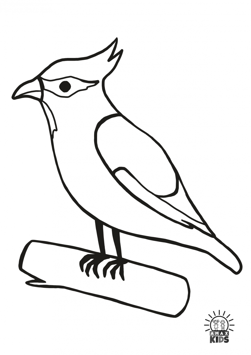 Winter coloring pages for kids with birds amax kids