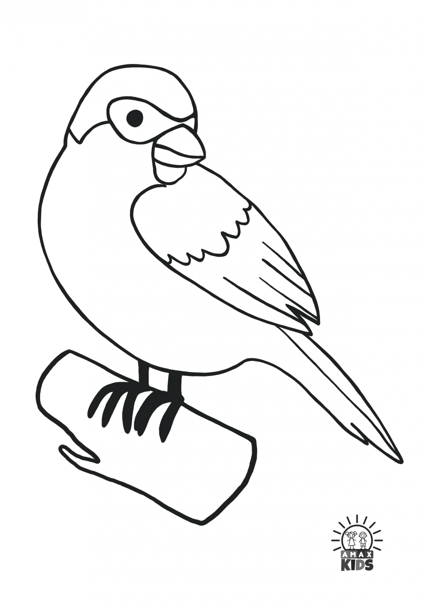 Winter coloring pages for kids with birds amax kids