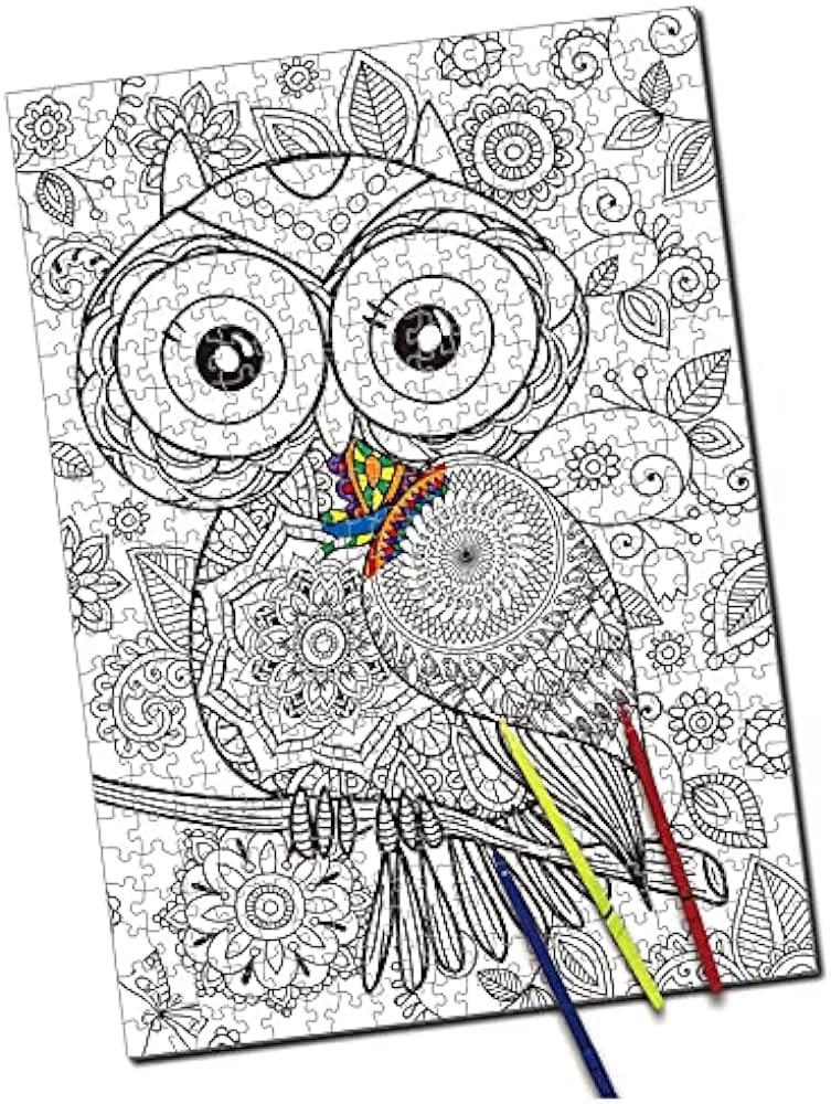 Jigsaw puzzle owl diy coloring jigsaw puzzle with color pen set for kidsadults pieces toys games