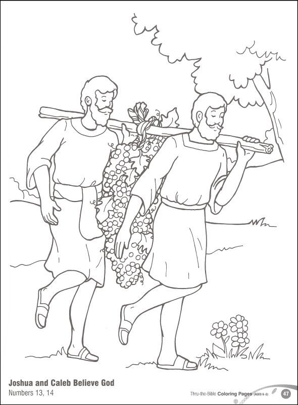 Pin by stephanie bluemel on bible class joshua and caleb bible coloring pages coloring pages