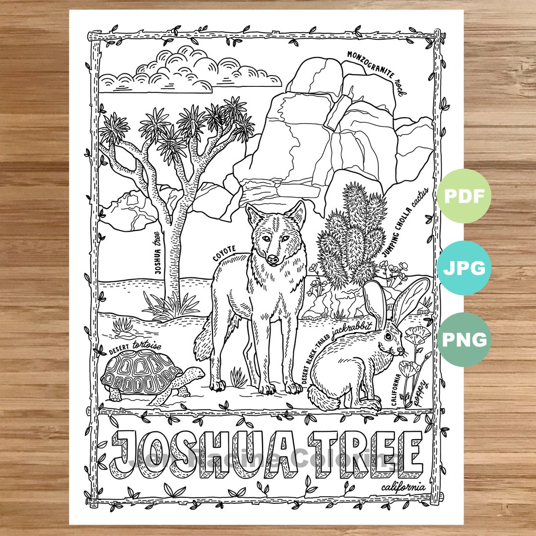 National park coloring page joshua tree california national park landscape animal plant wildflower coloring page printable instant download