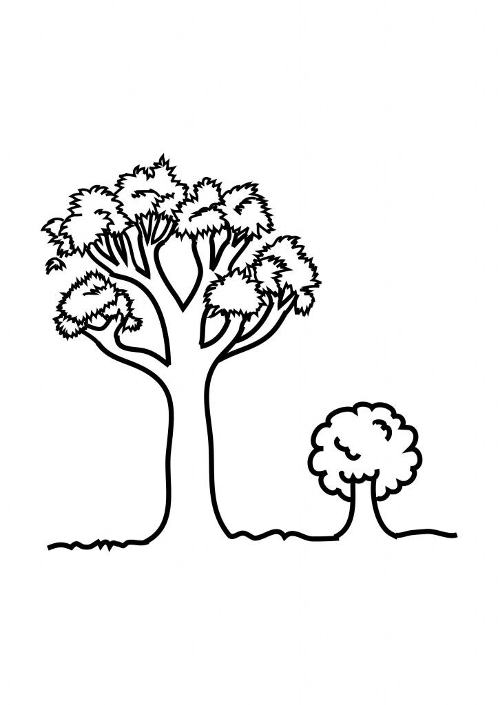 Free printable tree coloring pages for kids tree coloring page flower coloring pages coloring pages