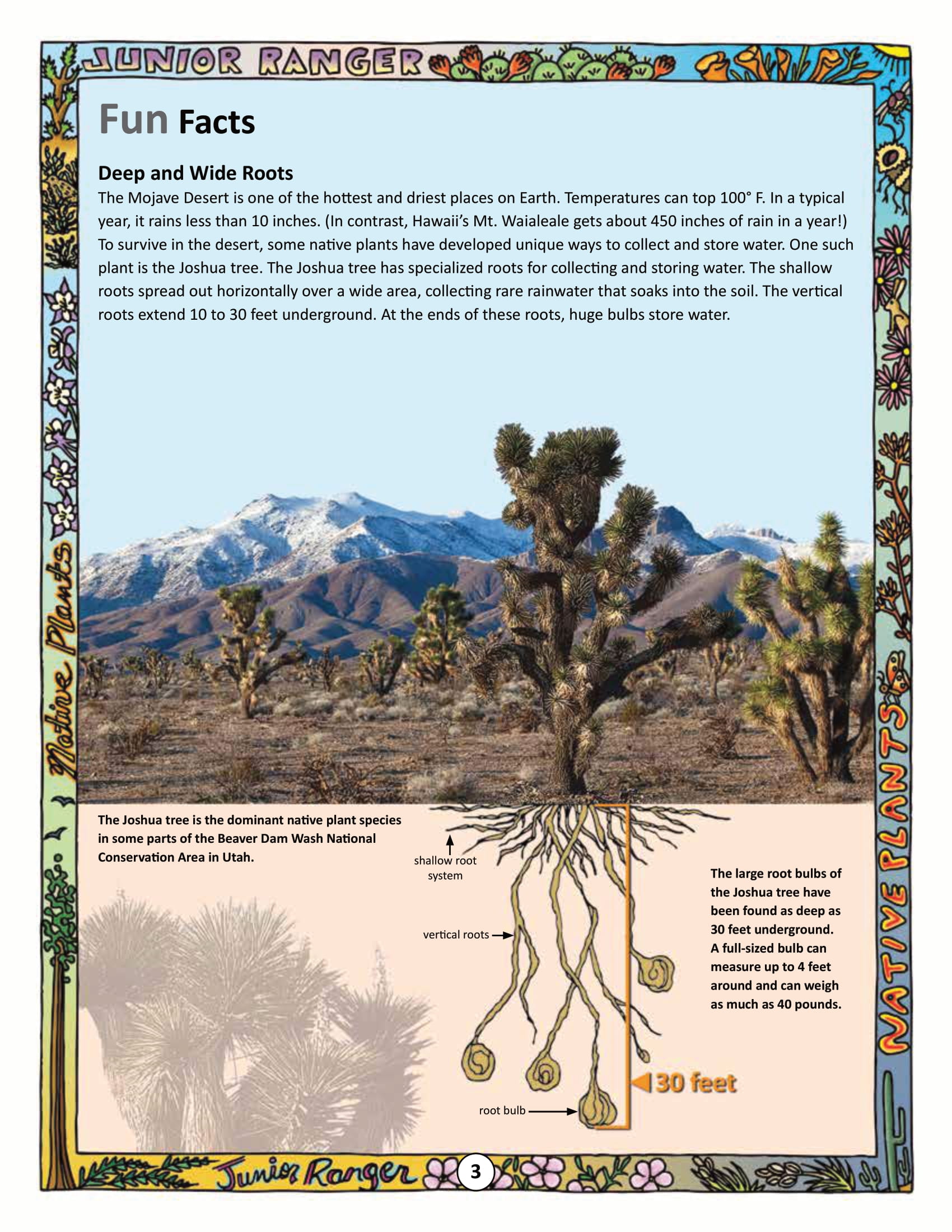 Fun facts about joshua tree free printable puzzle games